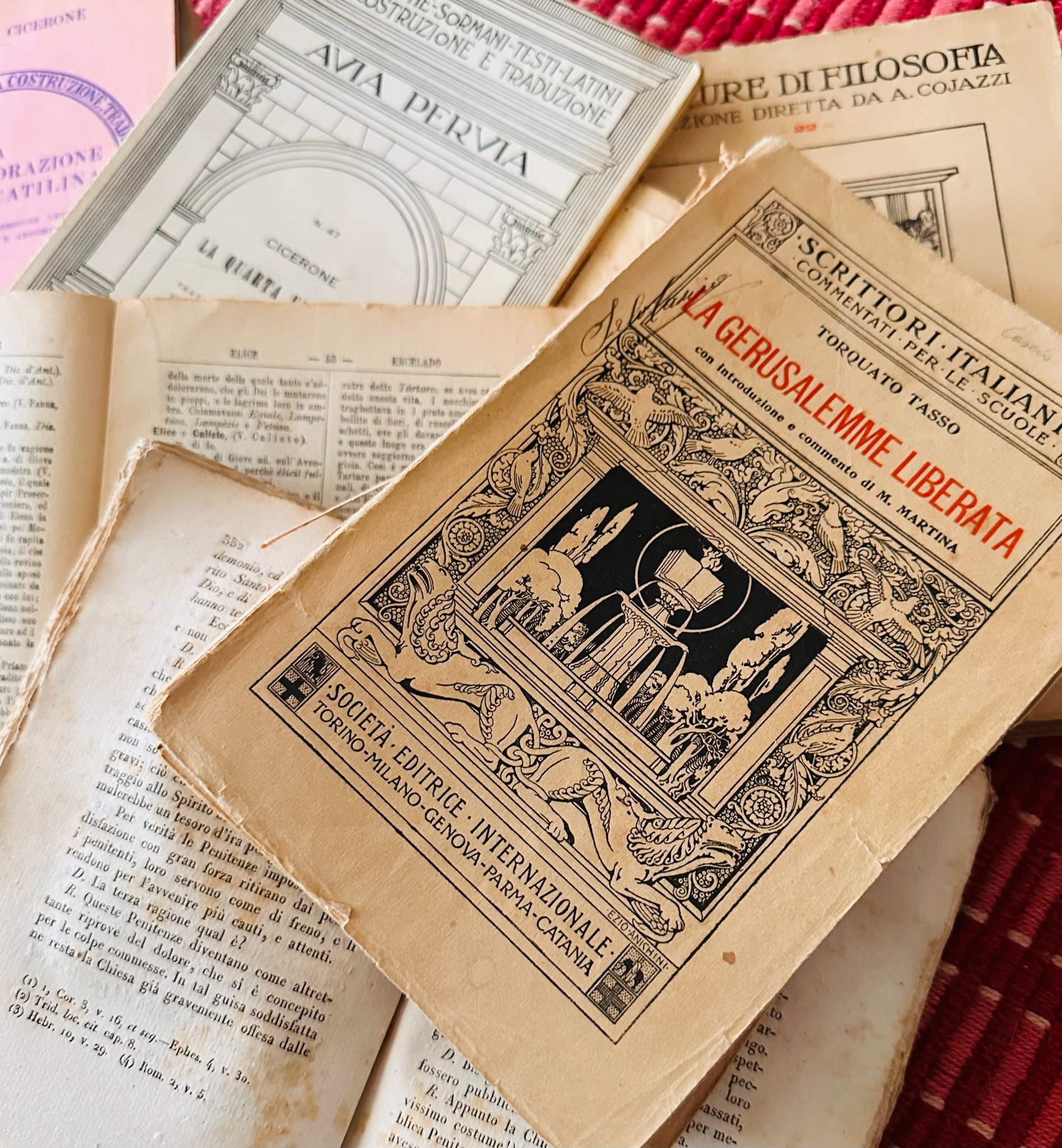 Fotografia originale dei libri di Adelaide Langella